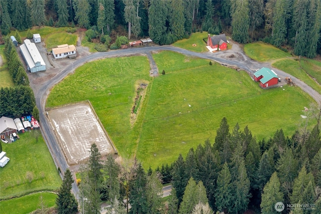 aerial view