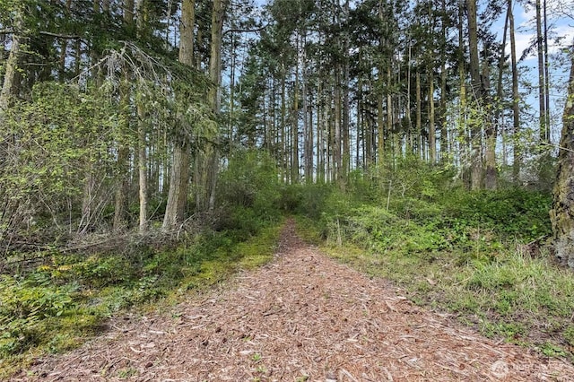 view of nature