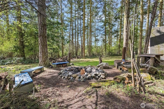 view of yard