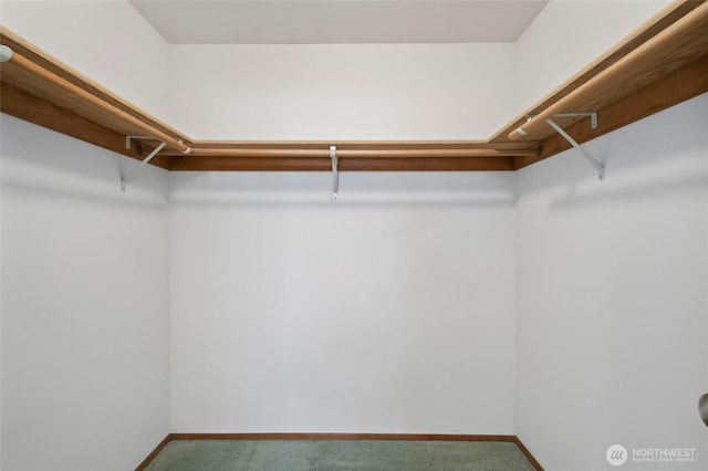 walk in closet with carpet