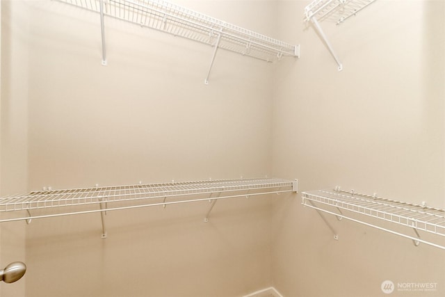 15026 40th Ave W Unit 7-203, Lynnwood, WA 98087 - view of walk in closet