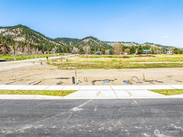 102 Alpenglow Dr, Leavenworth, WA 98826 - photo 3