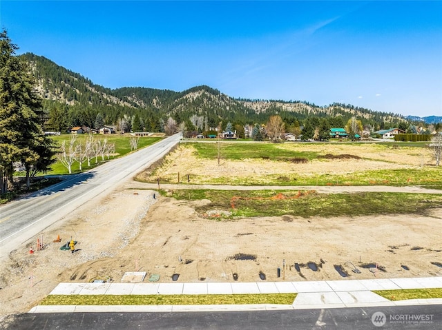102 Alpenglow Dr, Leavenworth, WA 98826 - photo 5