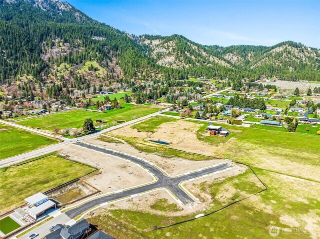 102 Alpenglow Dr, Leavenworth, WA 98826 - photo 10
