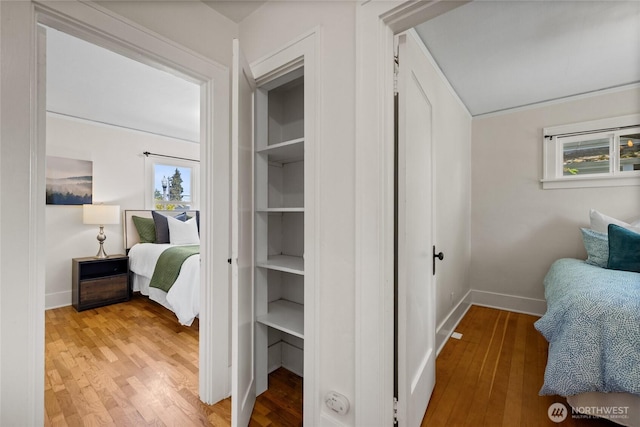 bedroom featuring wood-type flooring, baseboards, and multiple windows
