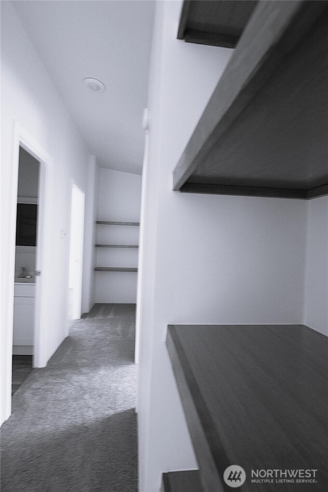 corridor with carpet floors