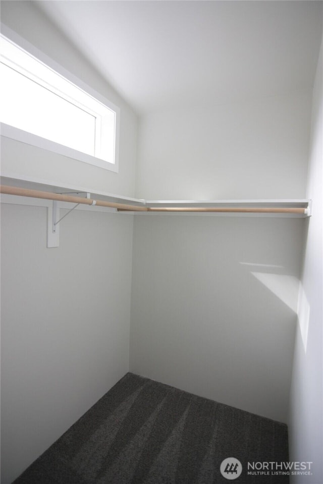 walk in closet with carpet flooring