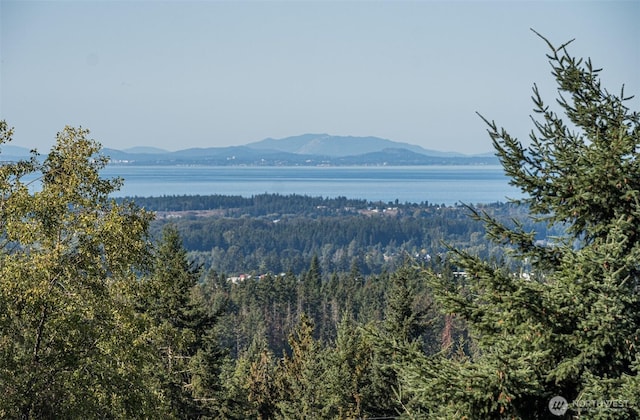 view of mountain feature featuring a water view and a view of trees