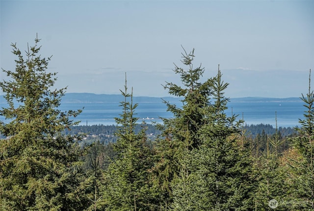 water view featuring a wooded view