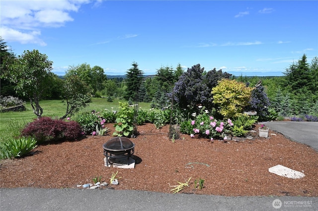 view of yard with an outdoor fire pit