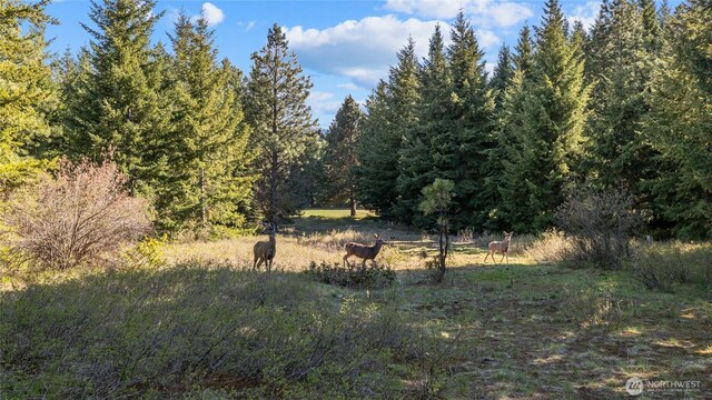80 Gold Fountain Ln, Cle Elum, WA 98922