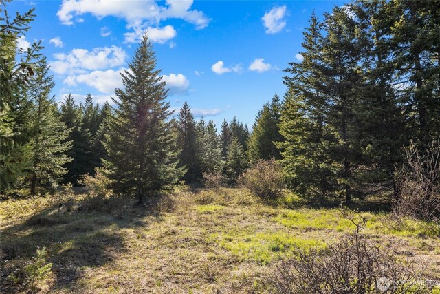 80 Gold Fountain Ln, Cle Elum, WA 98922
