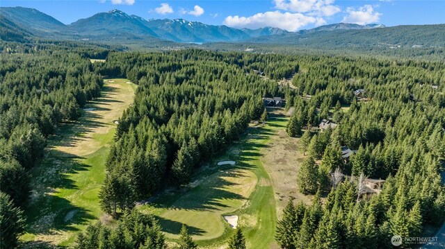 80 Gold Fountain Ln, Cle Elum, WA 98922