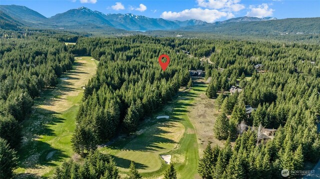 80 Gold Fountain Ln, Cle Elum, WA 98922