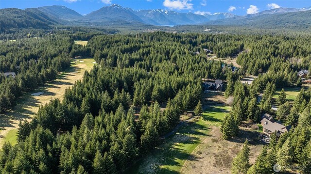 80 Gold Fountain Ln, Cle Elum, WA 98922