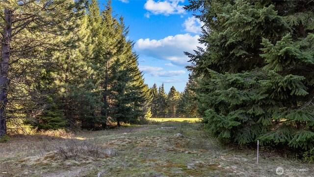 90 Gold Fountain Ln, Cle Elum, WA 98922