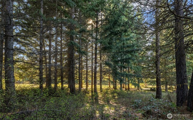 90 Gold Fountain Ln, Cle Elum, WA 98922