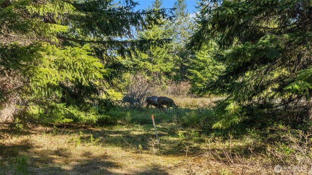 90 Gold Fountain Ln, Cle Elum, WA 98922