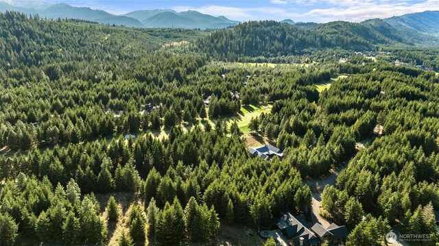 90 Gold Fountain Ln, Cle Elum, WA 98922