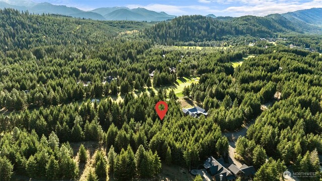 90 Gold Fountain Ln, Cle Elum, WA 98922