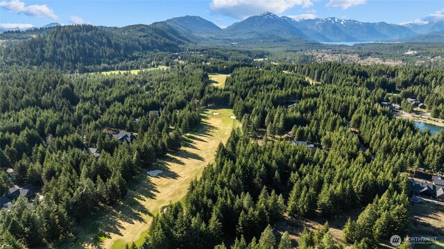 90 Gold Fountain Ln, Cle Elum, WA 98922