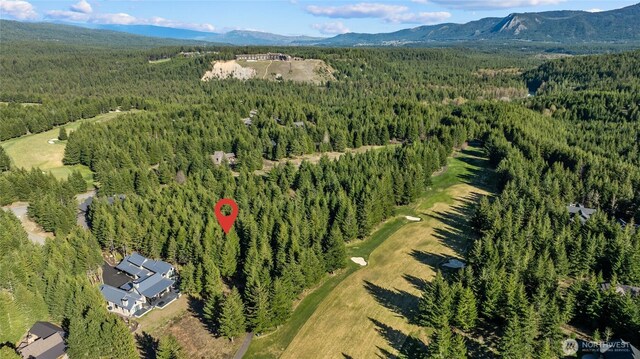 90 Gold Fountain Ln, Cle Elum, WA 98922