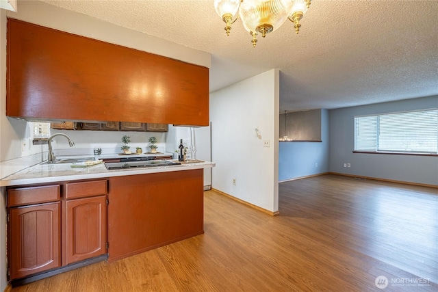 1023 S 88th St, Tacoma, WA 98444 - kitchen with black electric stovetop, an inviting chandelier, a peninsula, light wood-style flooring, and light countertops