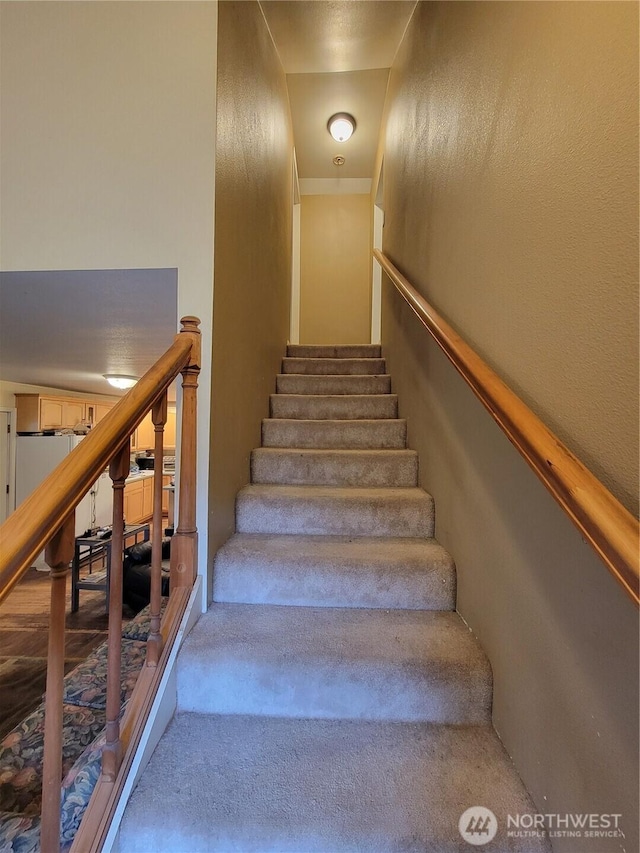 stairway featuring carpet floors