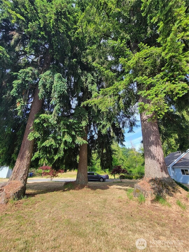 19730 5th Ave NE, Arlington, WA 98223 - photo 28