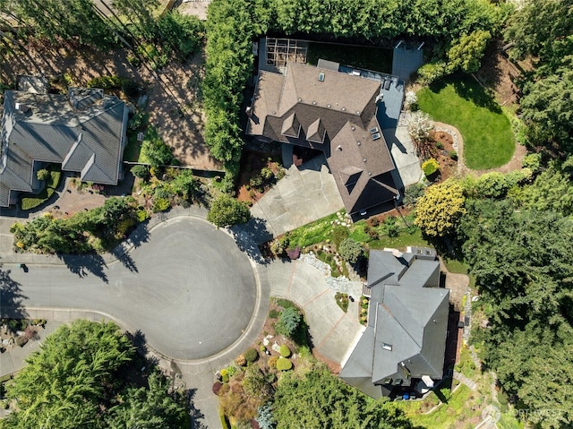 drone / aerial view