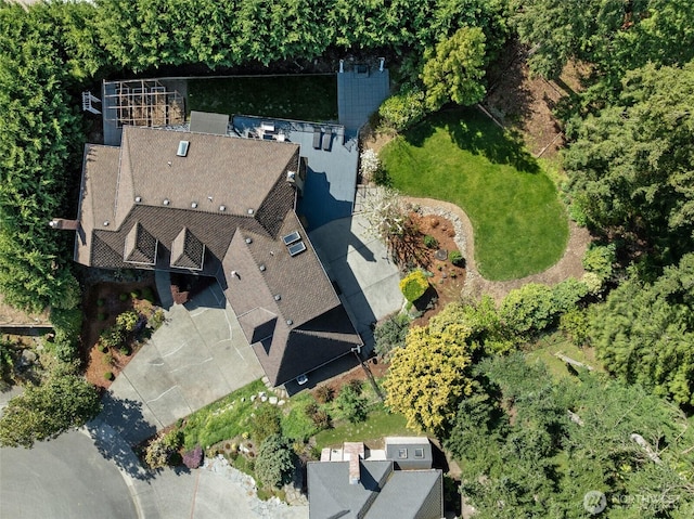 bird's eye view