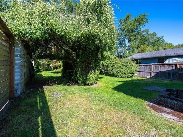 8434 34th Ave S, Seattle, WA 98118 - view of yard