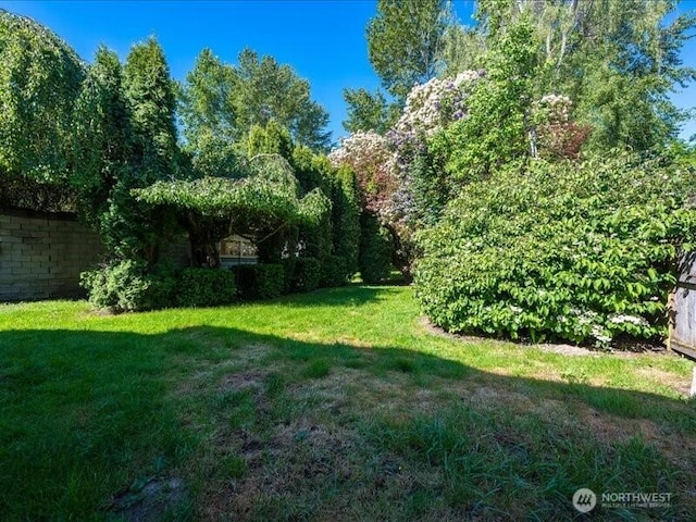 8434 34th Ave S, Seattle, WA 98118 - view of green lawn