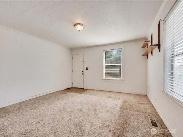 8434 34th Ave S, Seattle, WA 98118 - spare room with ornamental molding, light carpet, and a textured ceiling