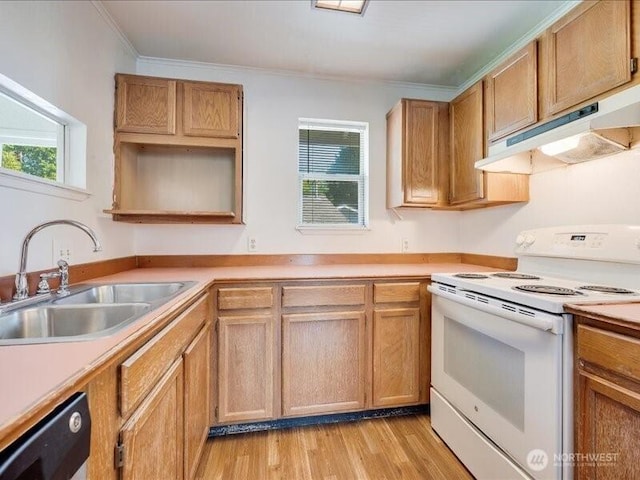8434 34th Ave S, Seattle, WA 98118 - kitchen with white range with electric stovetop, under cabinet range hood, plenty of natural light, a sink, and crown molding