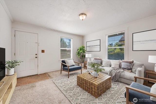 8434 34th Ave S, Seattle, WA 98118 - living area with ornamental molding and a textured ceiling