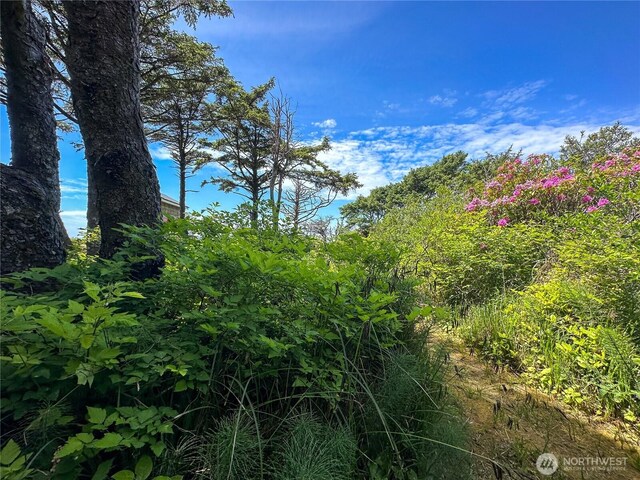 4753 Beach Ln, Moclips, WA 98562