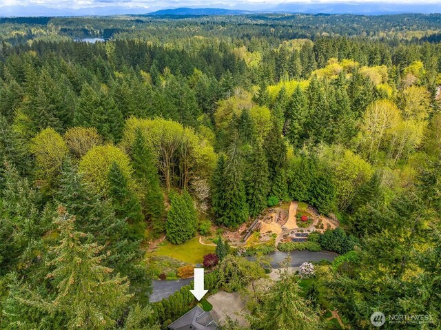 15427 178th Ave NE, Woodinville, WA 98072 - photo 6