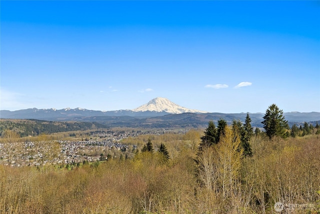 15423 136th Ave E, Puyallup, WA 98374 - photo 19