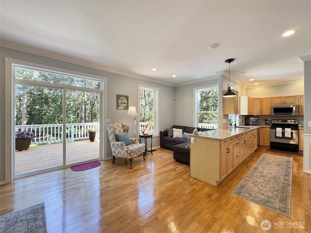 861 Kirner Rd, Sequim, WA 98382 - living room featuring plenty of natural light, ornamental molding, light wood-style floors, recessed lighting, and baseboards