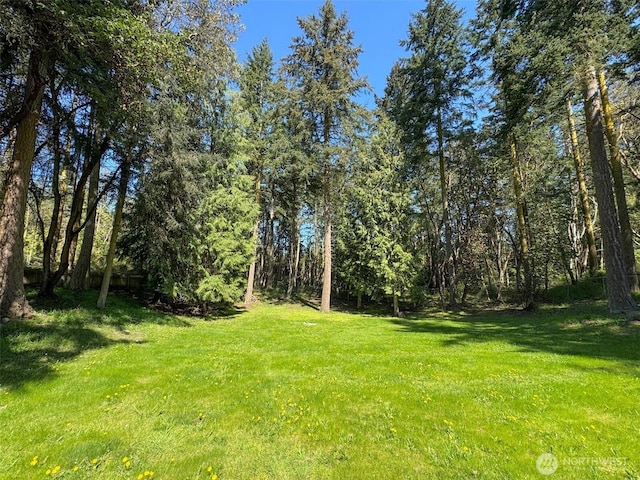 861 Kirner Rd, Sequim, WA 98382 - view of grassy yard featuring a view of trees