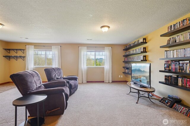 14900 NE Critter Hill Dr, Amboy, WA 98601 - carpeted living area with healthy amount of natural light, a textured ceiling, and baseboards