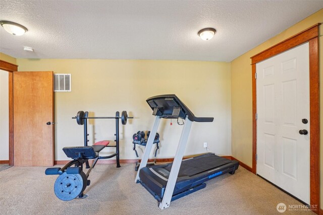 14900 NE Critter Hill Dr, Amboy, WA 98601 - exercise area with a textured ceiling, carpet, and baseboards