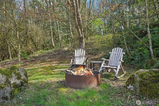 14900 NE Critter Hill Dr, Amboy, WA 98601 - view of yard featuring a fire pit
