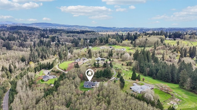 14900 NE Critter Hill Dr, Amboy, WA 98601 - view of property location featuring a heavily wooded area and a mountain backdrop