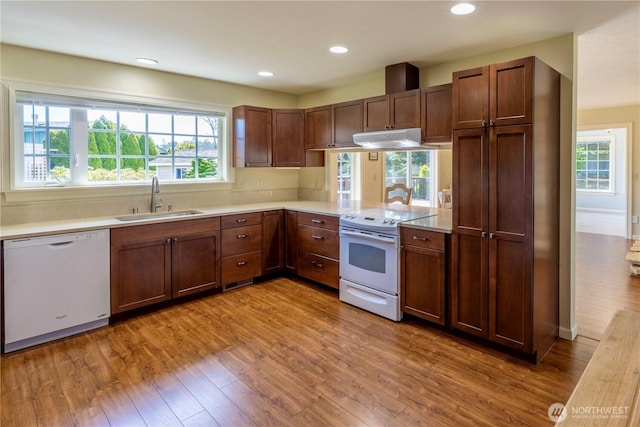 kitchen with wood finished floors, white appliances, light countertops, under cabinet range hood, and a sink