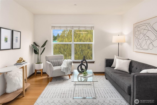 413 NE 70th St Unit 402, Seattle, WA 98115 - living room featuring baseboards and light wood-type flooring
