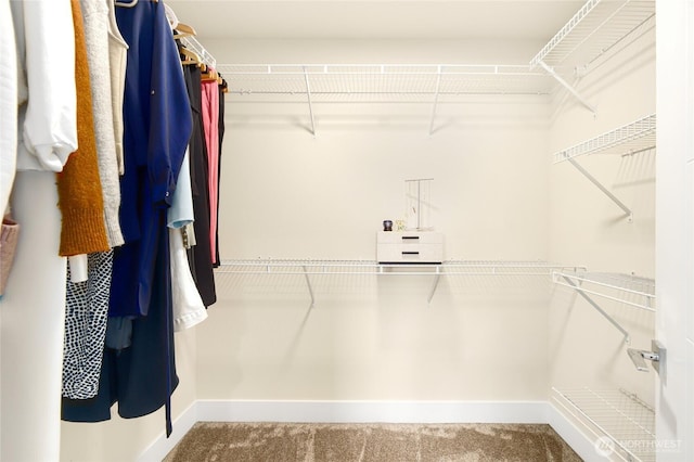 10410 2nd Pl SW, Seattle, WA 98146 - walk in closet featuring carpet flooring