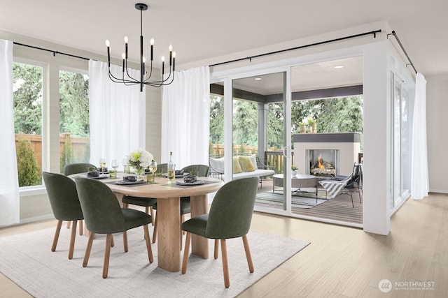 dining room with wood finished floors, an inviting chandelier, and a wealth of natural light