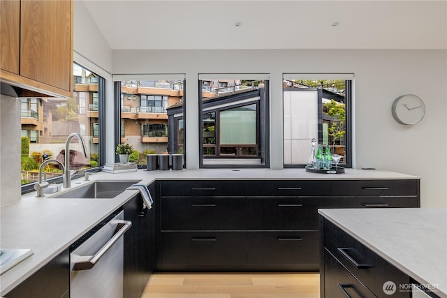 kitchen with a sink, dark cabinetry, plenty of natural light, and dishwasher